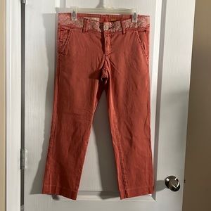 Anthropologie Pilcro Hyphen Fit pants - size 30